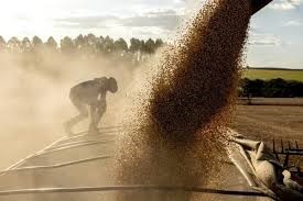 Gián đoạn tại eo biển Hormuz đe dọa hoạt động nhập khẩu lương thực của Trung Đông