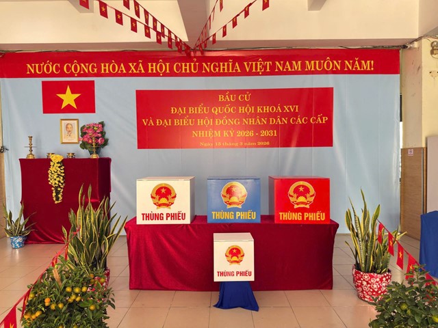 Ngày 15/3/2026 - Ngày hội non sông