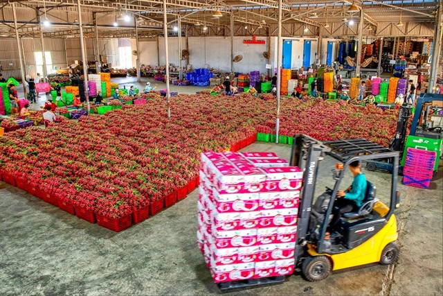 Nông sản rõ nguồn gốc - sự cam kết trách nhiệm