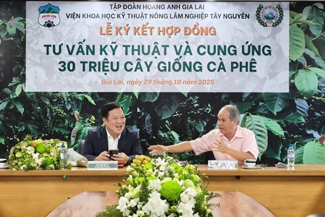 Bức tranh ngành cà phê sẽ vẽ lại thế nào với sự gia nhập từ vùng trồng 20.000 ha của Bầu Đức?