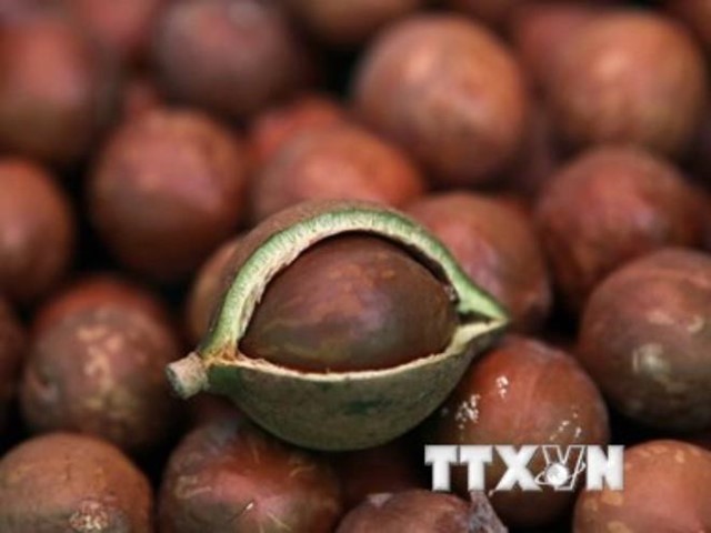 Venezuela thúc đẩy xuất khẩu cacao và cà phê sang Trung Quốc