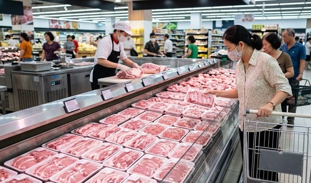 Giá heo hơi hôm nay 20/4: Tín hiệu tăng nhẹ tại miền Bắc