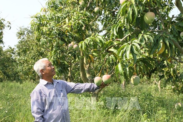 Xuất khẩu nông, lâm, thủy sản 4 tháng tăng 5,4%