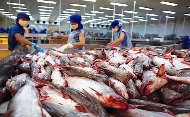 Hợp tác thủy sản Việt Nam - Ấn Độ được kỳ vọng sẽ bước sang giai đoạn phát triển mới
