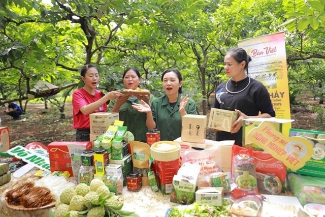 Giải pháp chuyên sâu để thương mại điện tử xuyên biên giới "tăng tốc"