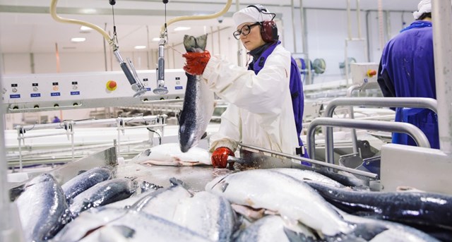 Hoàn tất đàm phán FTA Việt Nam - EFTA, hải sản Na Uy hưởng lợi từ ưu đãi thuế