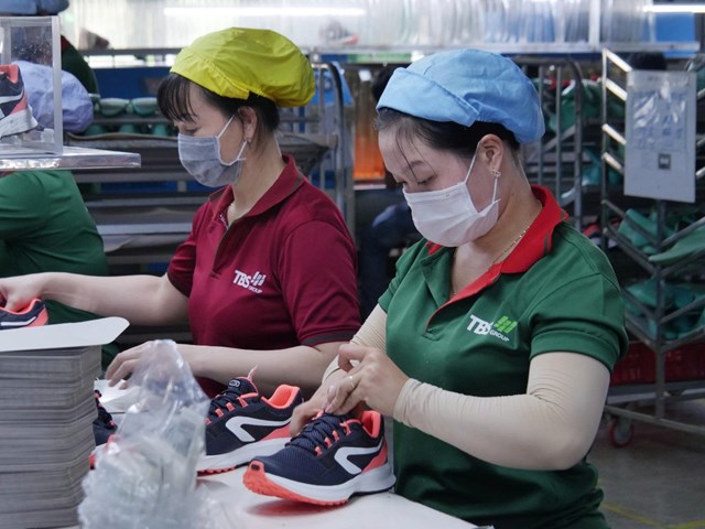 Bắc Âu siết chặt kiểm soát PFAS, dệt may và da giày Việt Nam cấp bách chuyển đổi để thích ứng