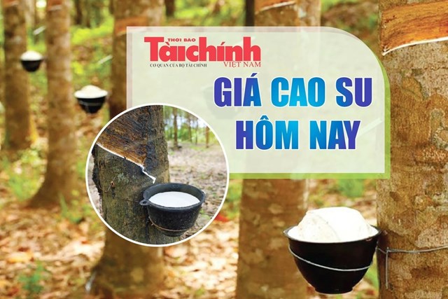 Ngày 17/9: Giá cao su thế giới đồng loạt suy giảm