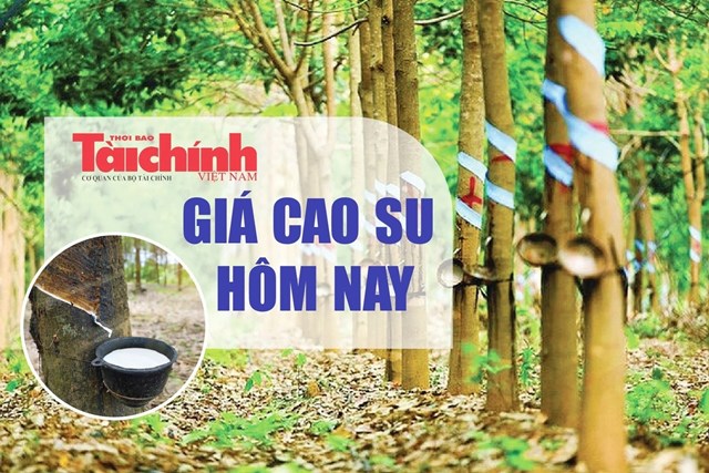 Ngày 28/9: Giá cao su thế giới tiếp đà khởi sắc