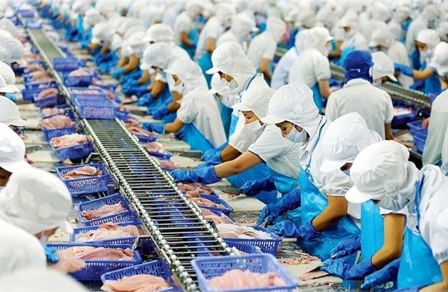 Ấn Độ dẫn đầu thị phần nhập khẩu thuỷ sản của Việt Nam trong 8 tháng đầu năm 2026