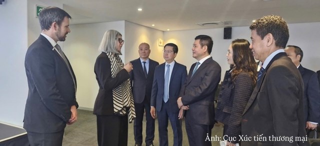 Việt Nam - Nam Phi mở rộng dư địa hợp tác kinh tế
