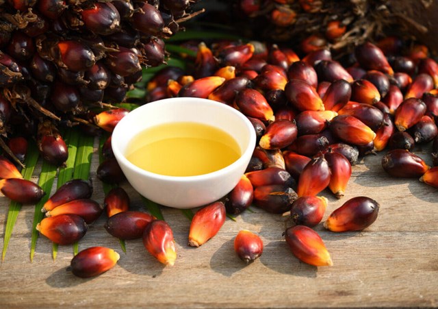 Sức mua dầu cọ từ Ấn Độ tăng vọt sau quyết định hạ thuế suất nhập khẩu xuống 5%