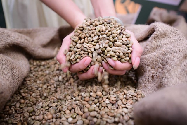 Robusta Việt cần thoát vai “làm nền”, khẳng định thương hiệu trên thị trường quốc tế