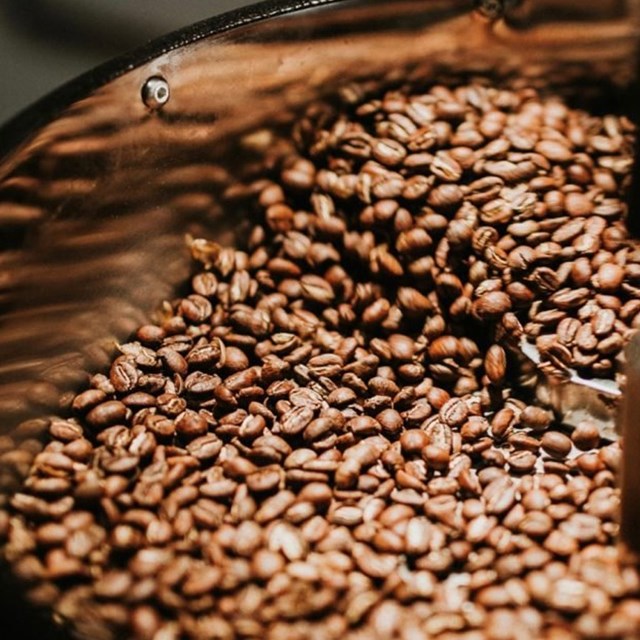 TT cà phê ngày 28/01: Giá giữ vững mức 31.100 – 31.500 đồng/kg