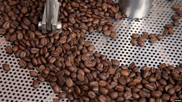 TT cà phê ngày 27/3: Giá đảo chiều sụt giảm xuống 30.300 – 30.500 đồng/kg
