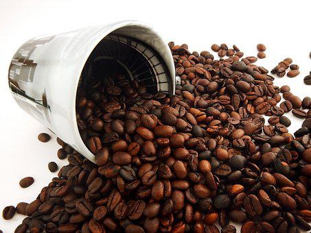 Thị trường cà phê hôm nay 09/12: Sản lượng trong nước được dự kiến giảm 1/5 trong niên vụ hiện tại
