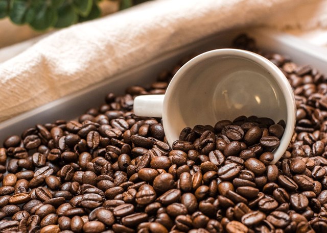 Thị trường cà phê hôm nay 11/10: Giá arabica trượt nhẹ, dự trữ của Brazil ở mức thấp nhất 23 năm