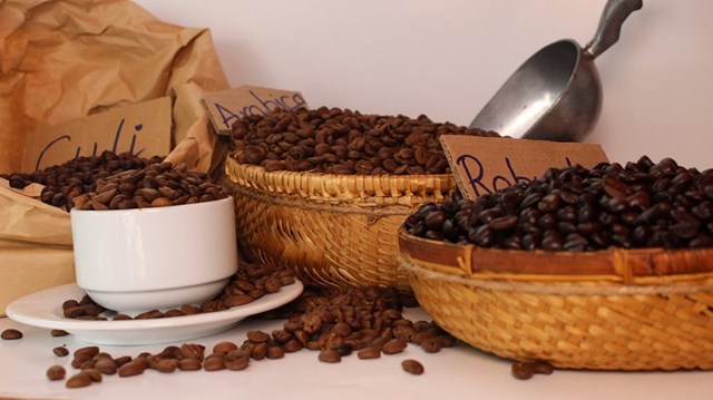 Thị trường cà phê hôm nay 30/3: Giá trên hai sàn giao dịch thế giới tiếp tục lao dốc