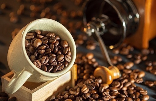 Thị trường cà phê ngày 02/1: Giá nội địa có triển vọng tích cực trong năm mới