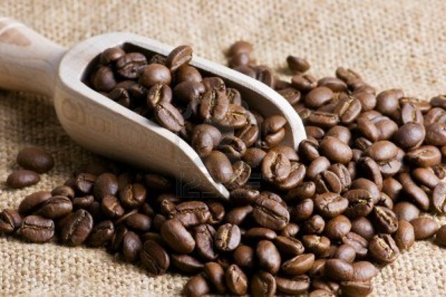 Thị trường cà phê hôm nay 07/7: Vụ thu hoạch ở Brazil gây áp lực lên giá