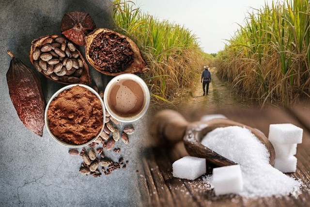 Diễn biến giá nông sản thế giới hôm nay 9/6/2026