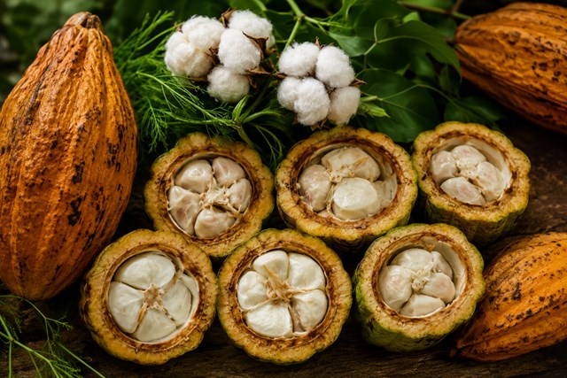 Diễn biến giá nông sản thế giới hôm nay 14/7/2026