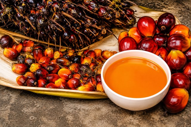 Tồn kho dầu cọ của Malaysia tháng 9/2026 bứt phá lên mức kỷ lục lịch sử 3,51 triệu tấn