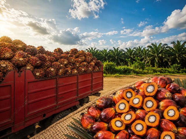 Thị trường giao dịch thận trọng trước dữ liệu cung cầu hàng tháng của MPOB