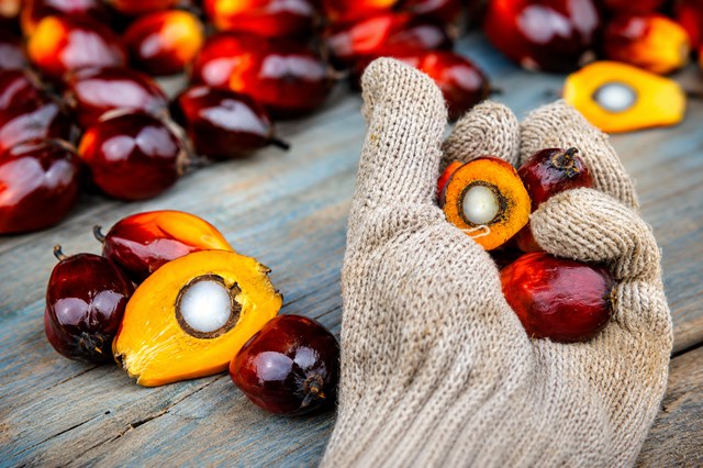 Chính phủ Indonesia đã triển khai kế hoạch toàn diện nhằm siết chặt xuất khẩu các mặt hàng chiến lược