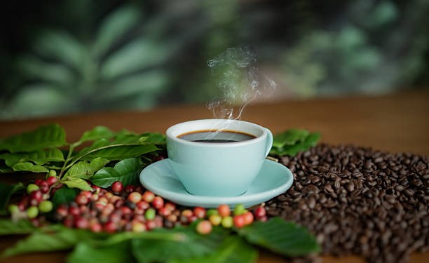 TT cà phê ngày 6/2: Tiêu thụ cà phê toàn cầu được dự báo ở mức kỷ lục 173,9 triệu bao trong chu kỳ hiện tại