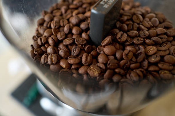 TT cà phê ngày 13/2: Người trồng tại Tây Nguyên hiện vẫn giữ lại hơn 50% sản lượng của niên vụ 2025/26