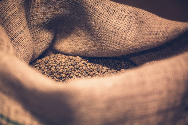 TT cà phê ngày 24/3: Cà phê Việt Nam đang chiếm ưu thế khi nguồn cung robusta từ nhiều quốc gia chưa tăng mạnh