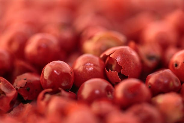 TT hạt tiêu ngày 2/4: Dự báo giá tiêu sẽ tiếp tục biến động khó lường trong ngắn hạn