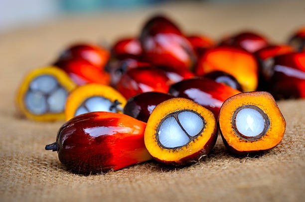 Trị giá xuất khẩu dầu cọ của Indonesia trong 9 tháng đầu năm 2025 tăng mạnh 32,4%