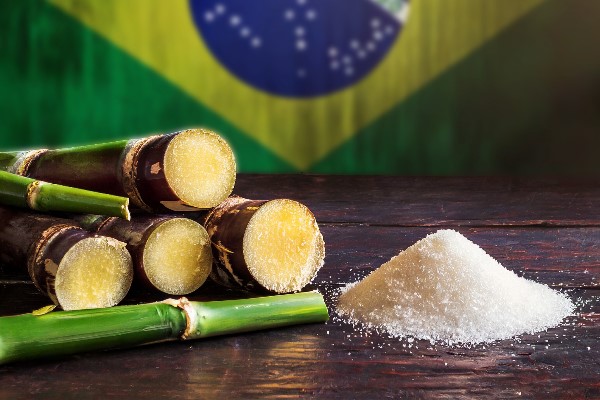 Sản lượng đường tại khu vực Trung Nam Brazil giảm 33% trong nửa cuối tháng 11/2025