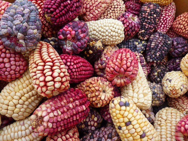 Diễn biến giá nông sản thế giới hôm nay 6/10/2026