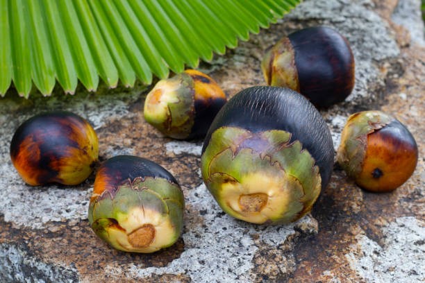 TT dầu thực vật ngày 10/3: Giá dầu cọ giảm trở lại hơn 3% sau phiên tăng mạnh nhất trong 3 năm