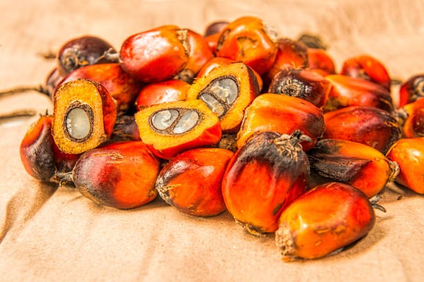 Mỹ đã cho phép dầu cọ của Indonesia nhập khẩu vào thị trường nước này mà không phải chịu thuế