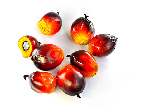 TT dầu thực vật ngày 9/2: Dự kiến tồn kho dầu cọ của Malaysia tháng 1 kết thúc chuỗi tăng liên tục trong 10 tháng 