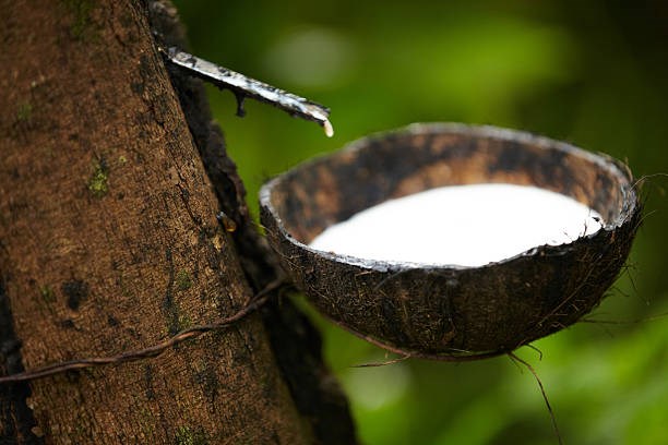 Ngày 18/9: Giá cao su trên các sàn giao dịch chủ chốt tại châu Á tiếp tục giảm