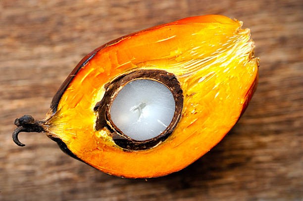 TT dầu thực vật ngày 27/1: Nhập khẩu dầu cọ của nước mua hàng đầu Ấn Độ có thể hồi phục trong tháng 1/2026