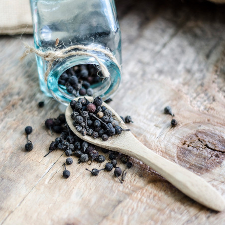 TT hạt tiêu ngày 5/11: Sức mua từ các doanh nghiệp xuất khẩu chậm lại