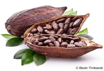 Xay nghiền cacao của châu Á tăng do châu Phi mất mùa