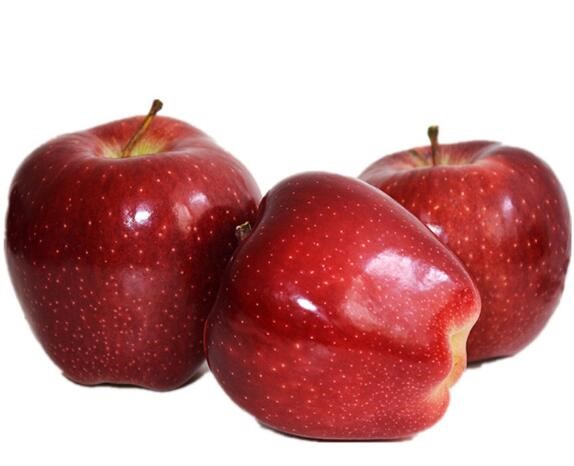 Nguồn cung táo tại Cam Túc, Trung Quốc thấp