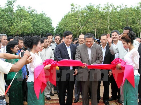 Các doanh nghiệp cao su Việt Nam hoạt động hiệu quả ở Campuchia