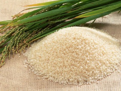 Tổng hợp tin thị trường gạo ngày 25/7