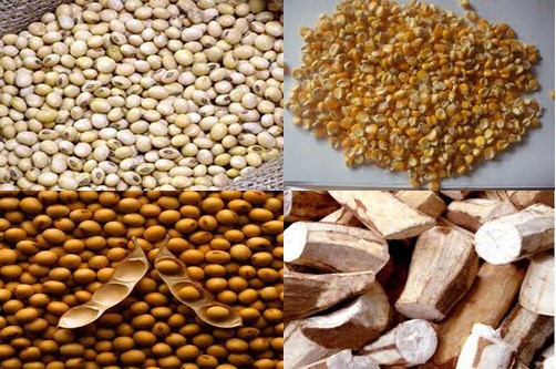 Giá thức ăn chăn nuôi thế giới dự báo tăng nhẹ, trong nước cao hơn khu vực 20%
