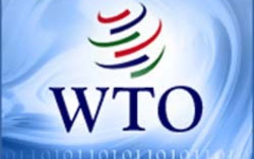 8 năm gia nhập WTO: Khoảng cách gần lại hay xa hơn?