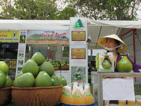 Vốn Nhật sẽ chảy mạnh vào Việt Nam