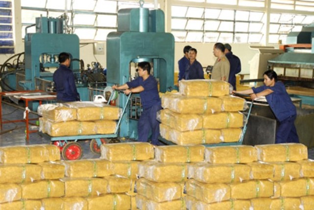 Tuần 13/7-17/7, giá cao su trong nước giảm 6% so với trung bình tháng 6